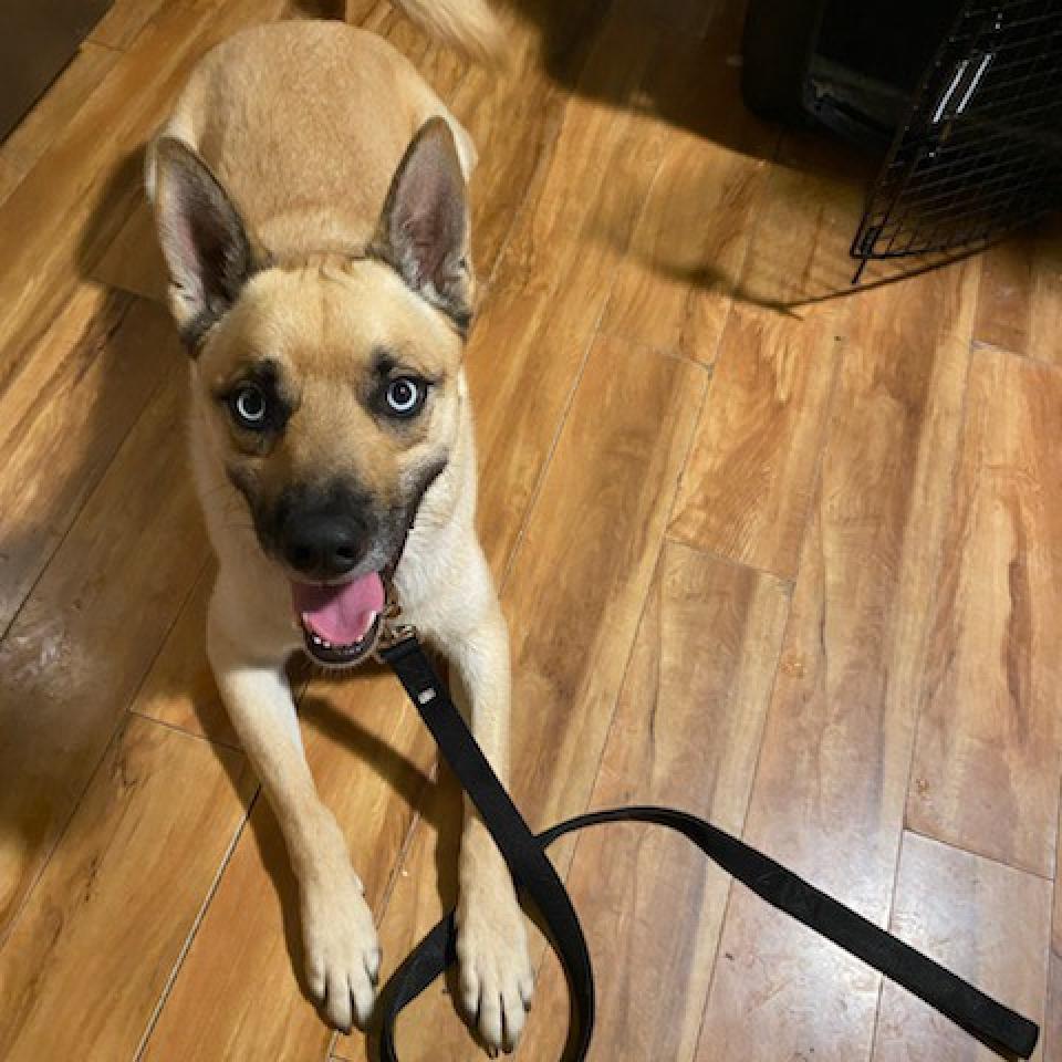 Ocean — thumbnail 3