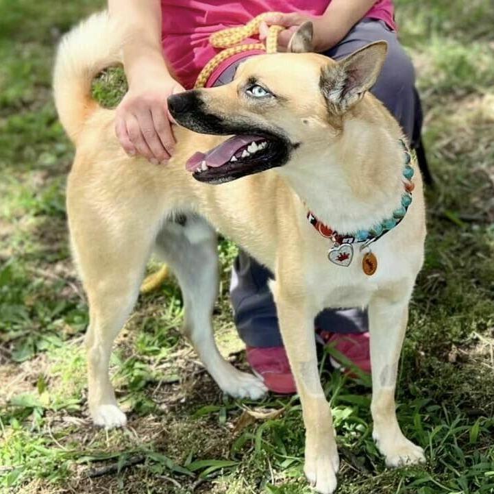 Ocean — thumbnail 4