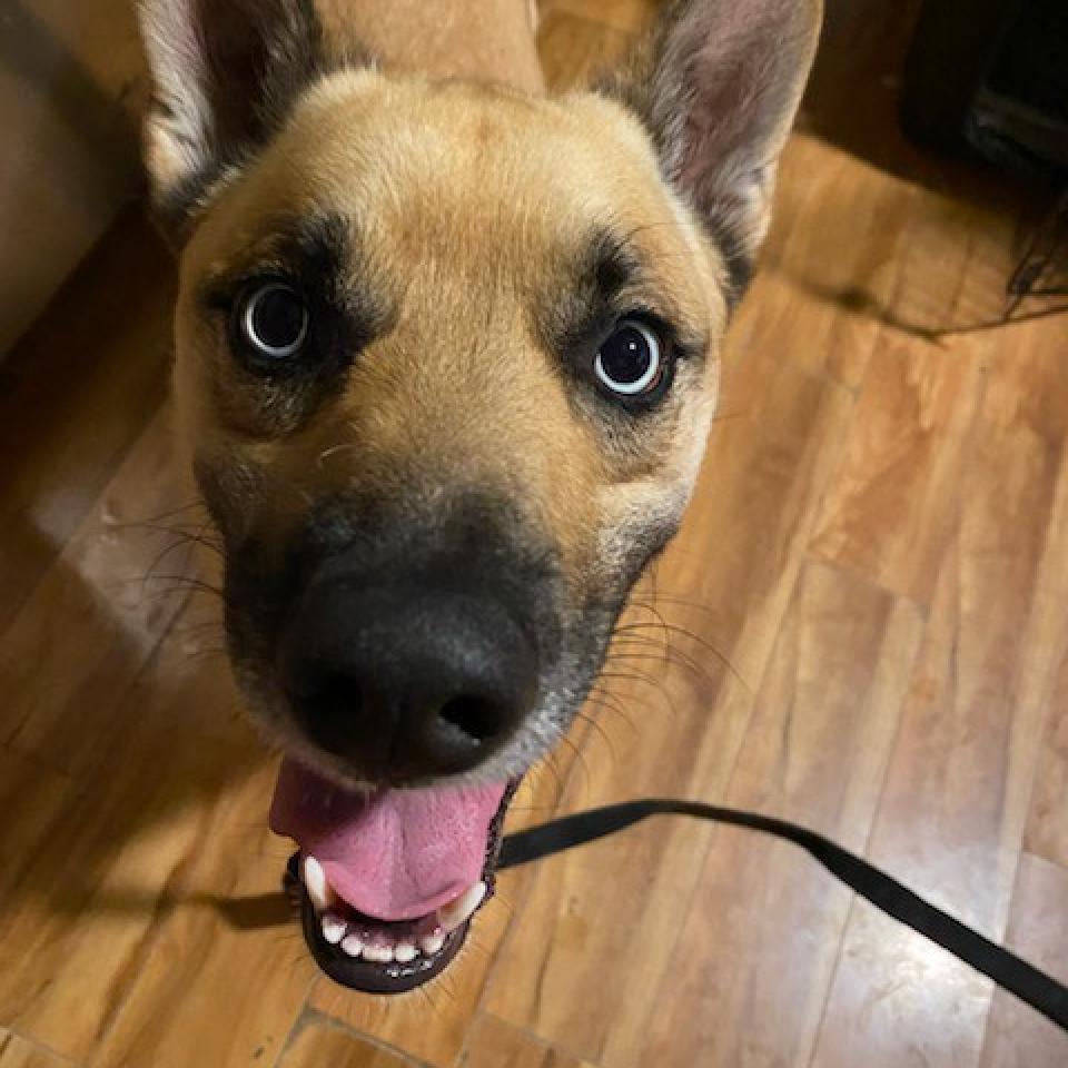 Ocean — thumbnail 5