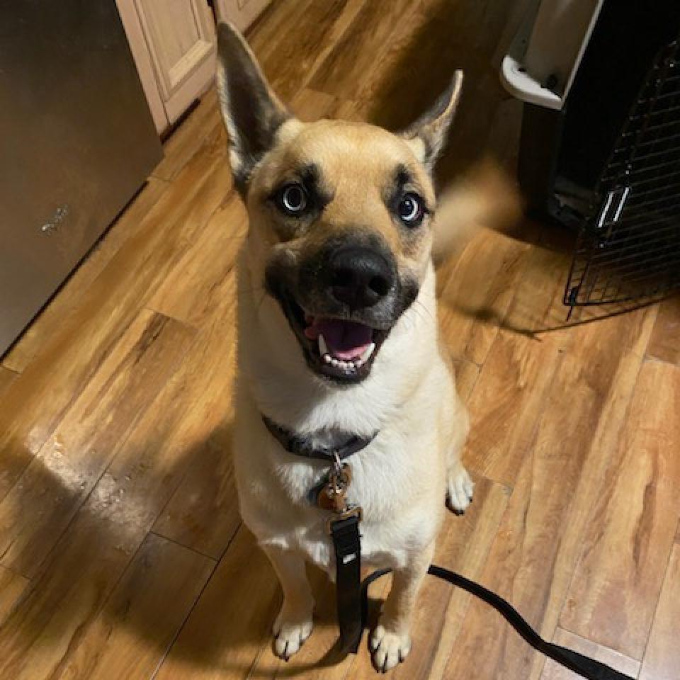 Ocean — thumbnail 6