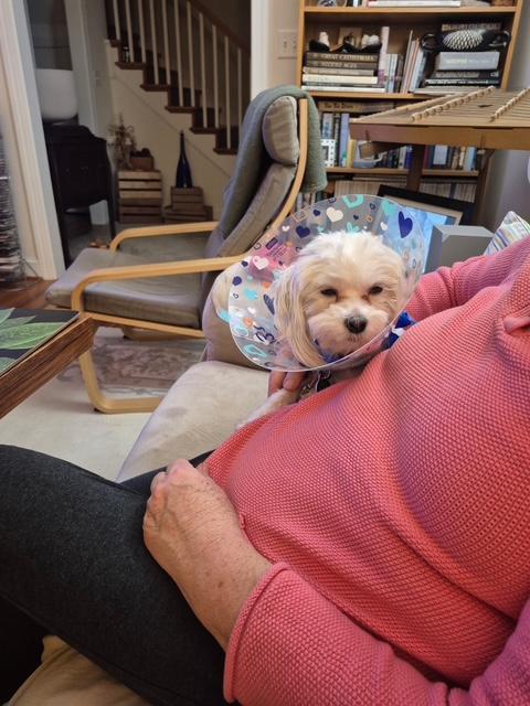 T.J. — thumbnail 3