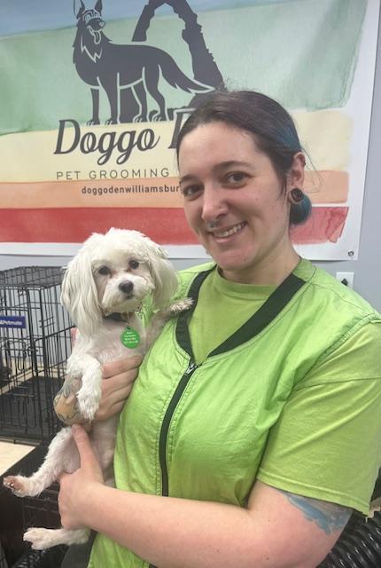 T.J., ADOPTABLE, Young Male Maltese.