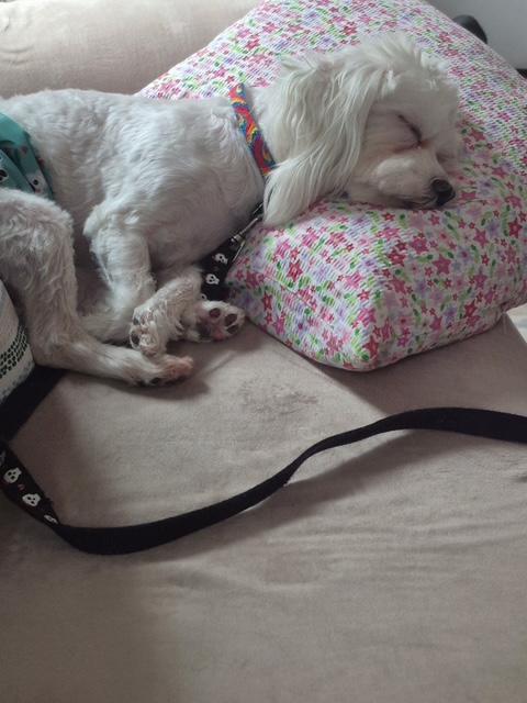 T.J. — thumbnail 5