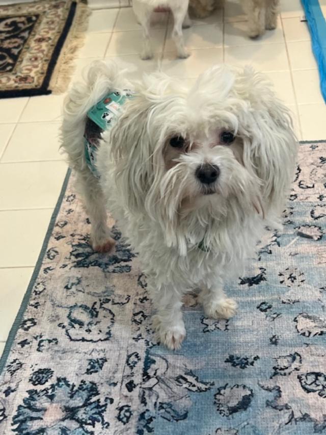 T.J. — thumbnail 6