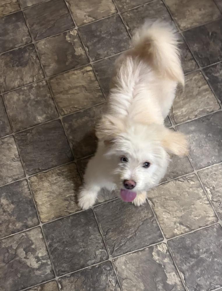 Finnegan — thumbnail 3