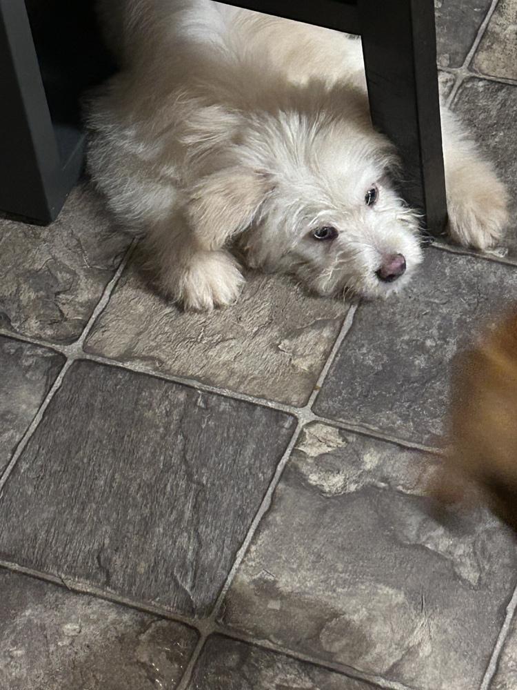 Finnegan — thumbnail 5