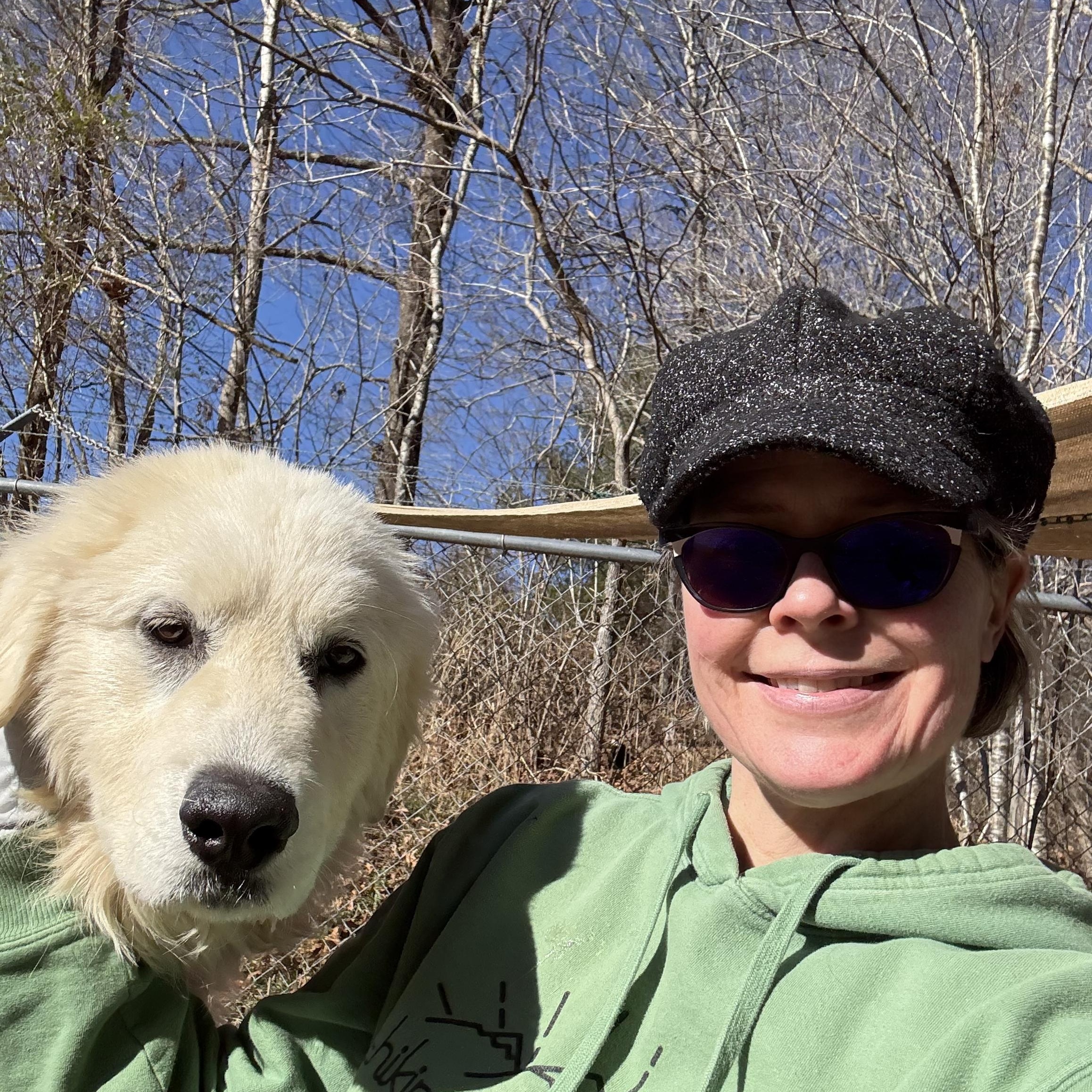Arctic Blast, an adopted Great Pyrenees in Marshall, NC image 4/6