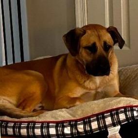 Martin — thumbnail 2