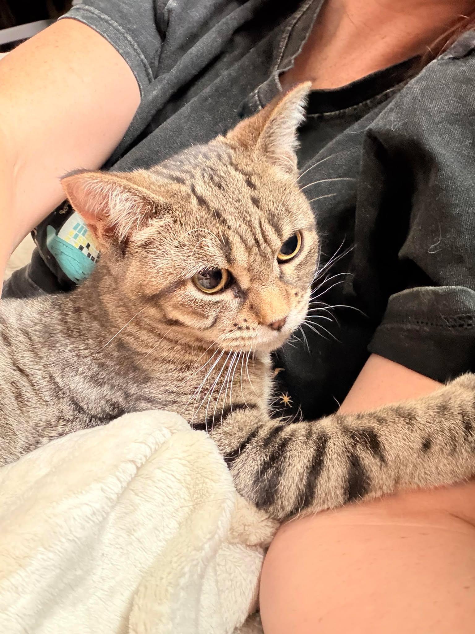 LUNA photo