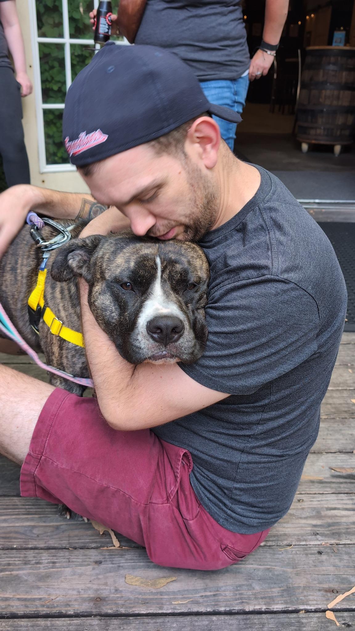 Klondike, a Adoptable mixed breed in Cleveland, OH image 6/6