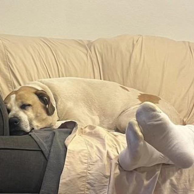 Junie — thumbnail 4