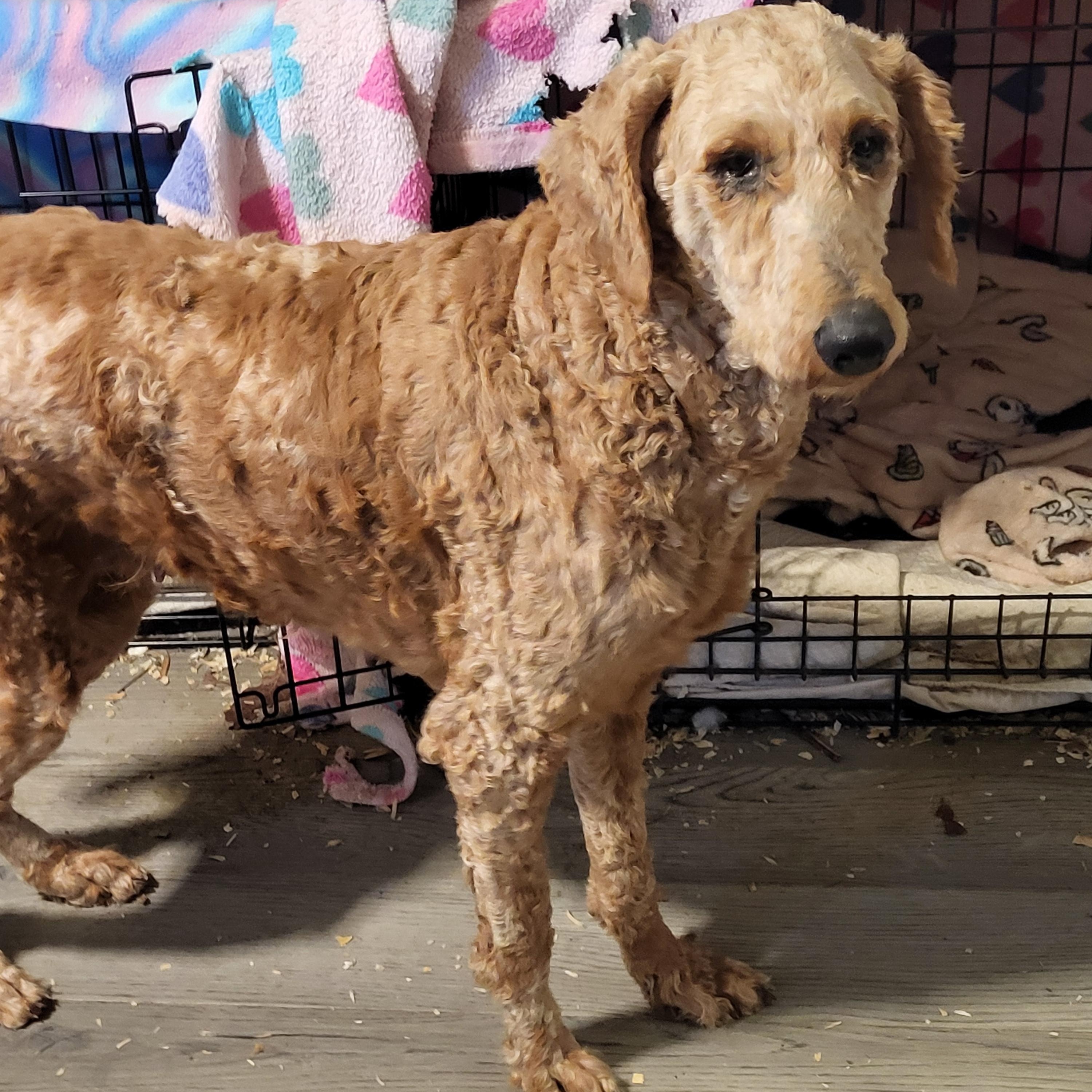 Sunshine thumbnail 2