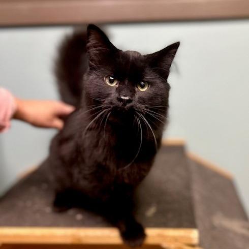 Johnny — thumbnail 2