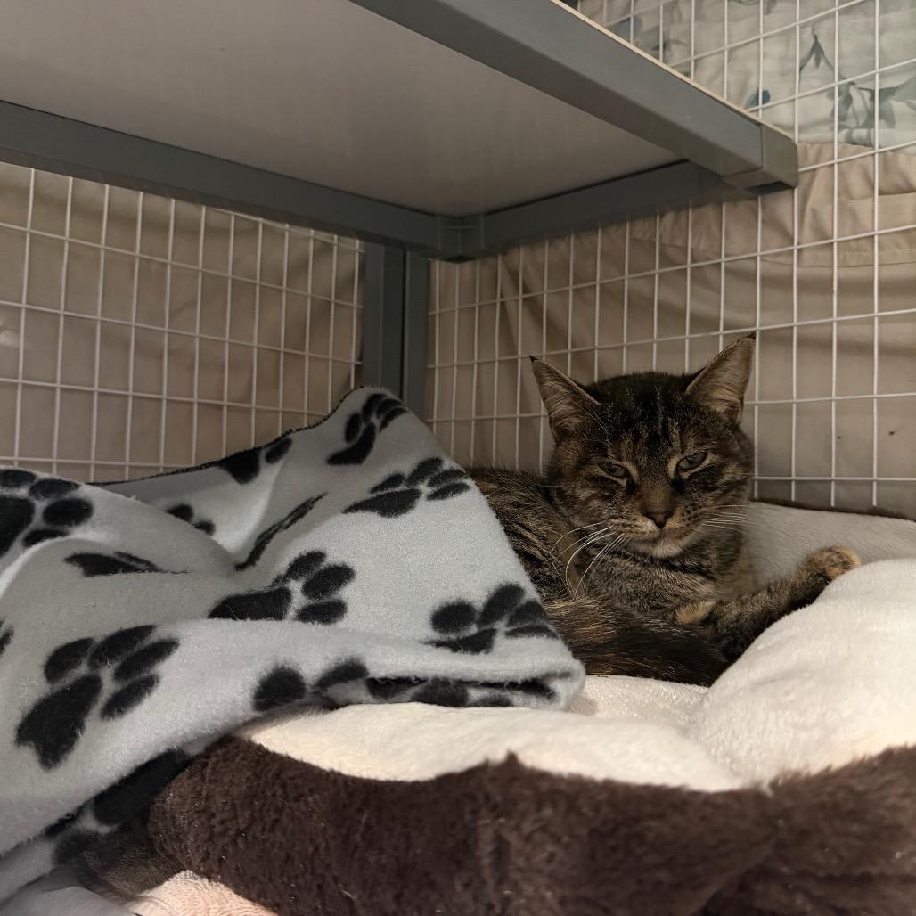 Werther — thumbnail 2