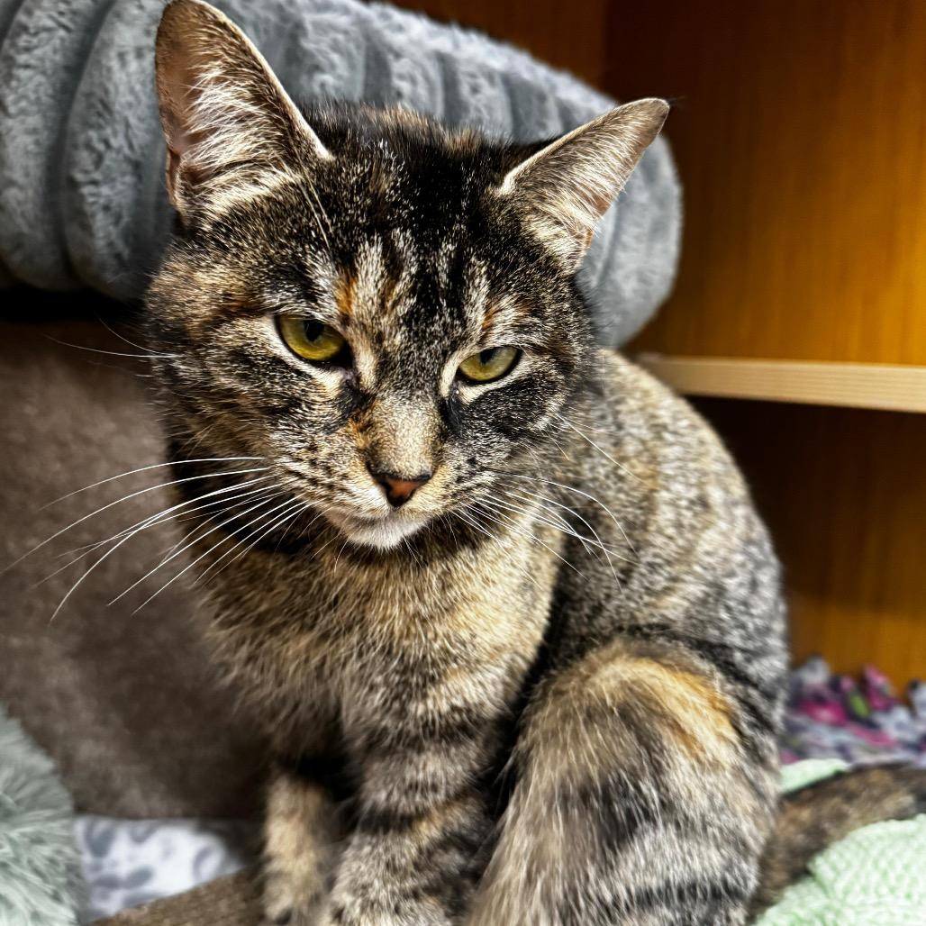 Werther — thumbnail 3