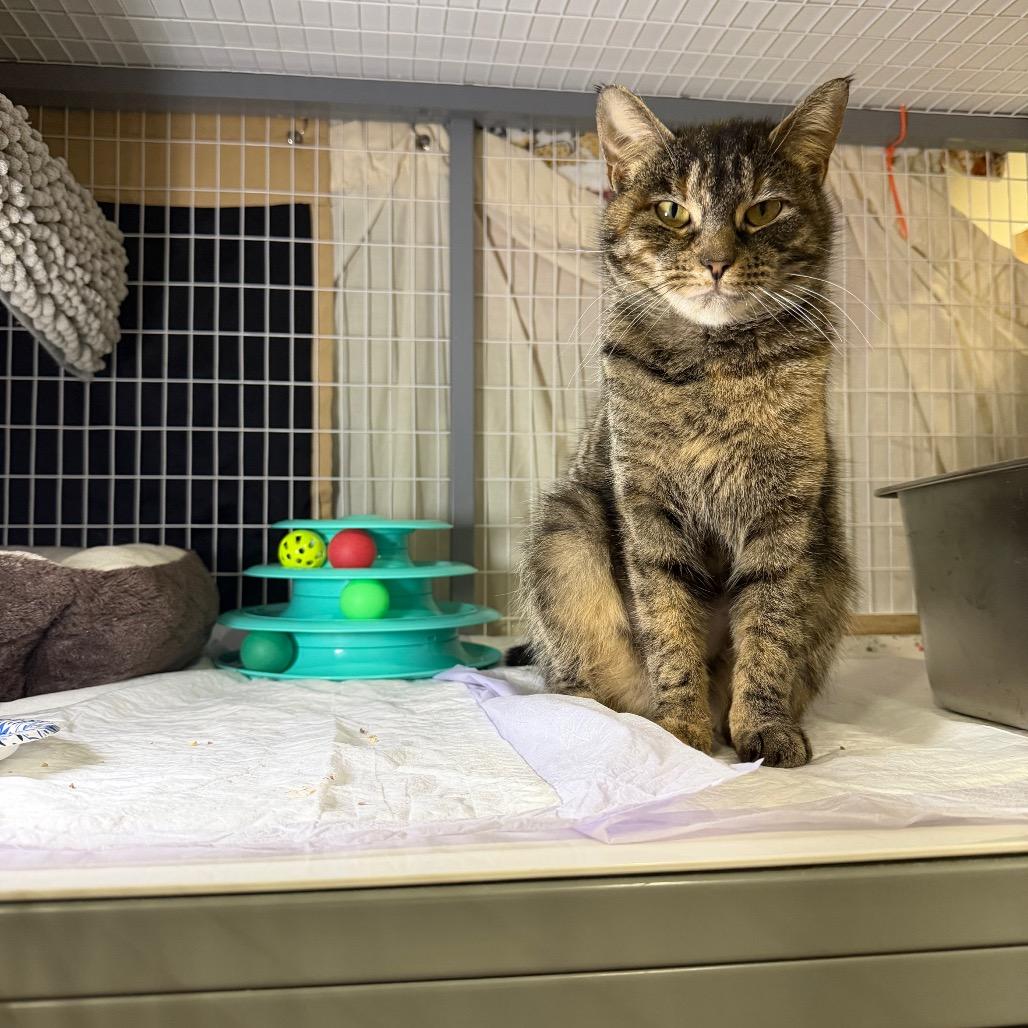 Werther — thumbnail 4