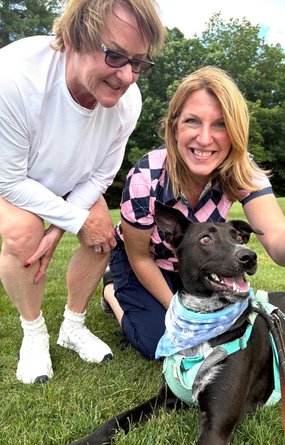 Reece, a ADOPTABLE mixed breed in New Boston, NH image 6/6