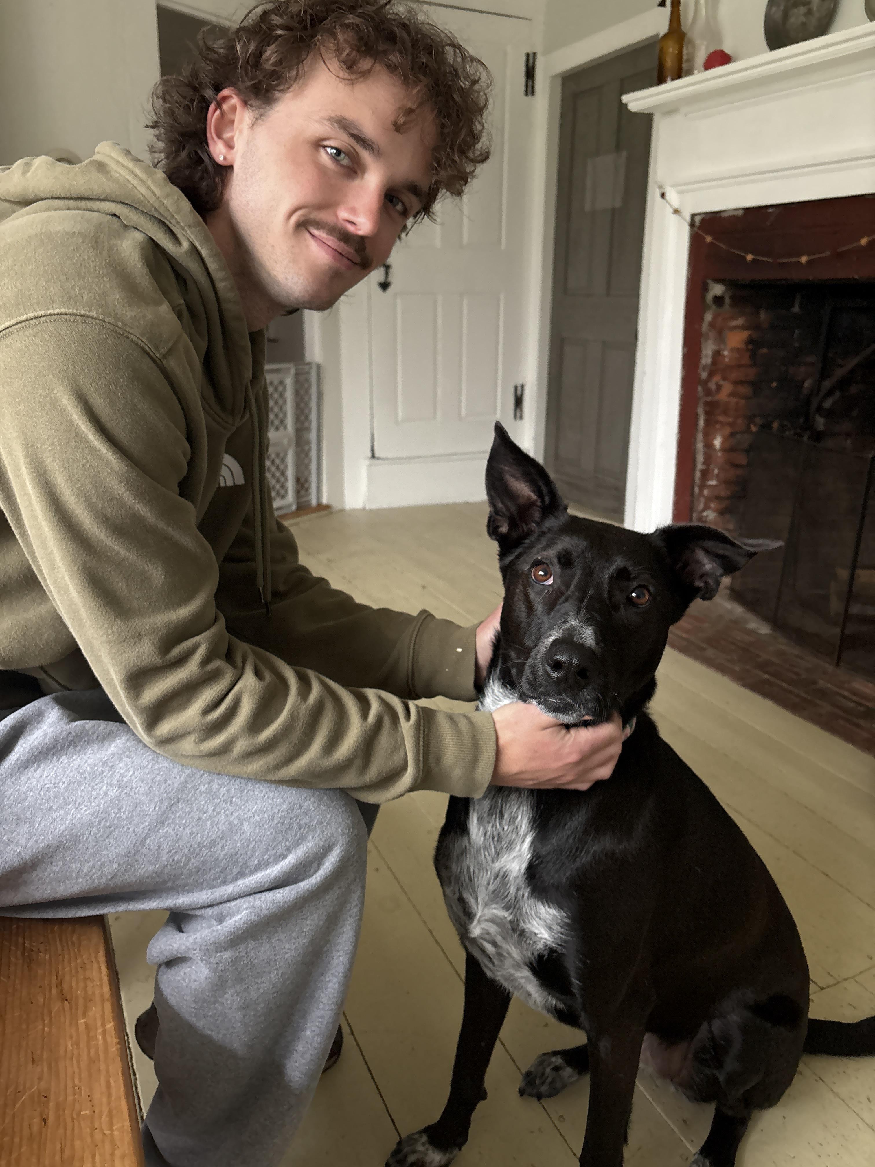 Reece, a ADOPTABLE mixed breed in New Boston, NH image 4/6