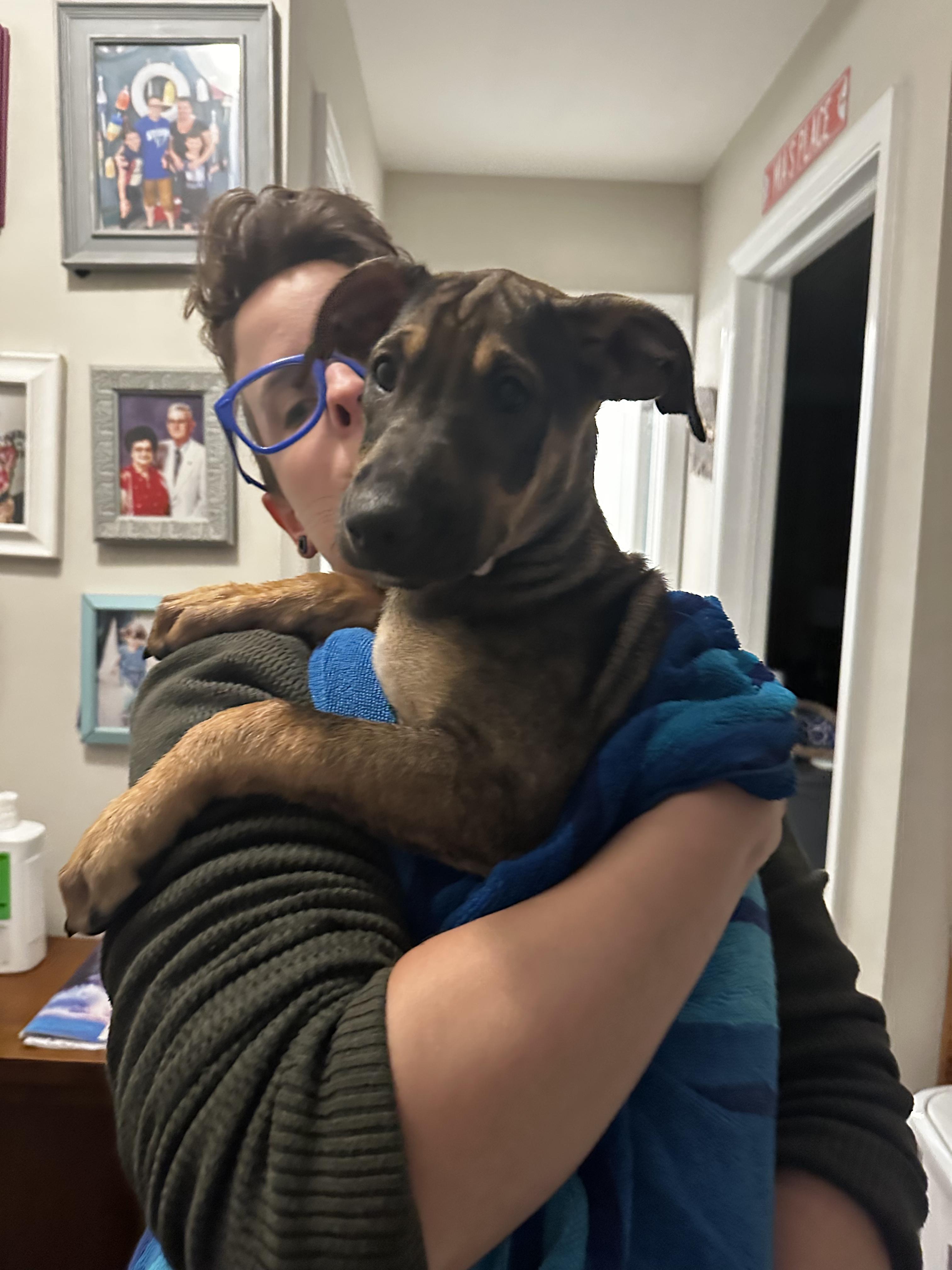 Frida, a ADOPTABLE mixed breed in New York, NY image 4/6