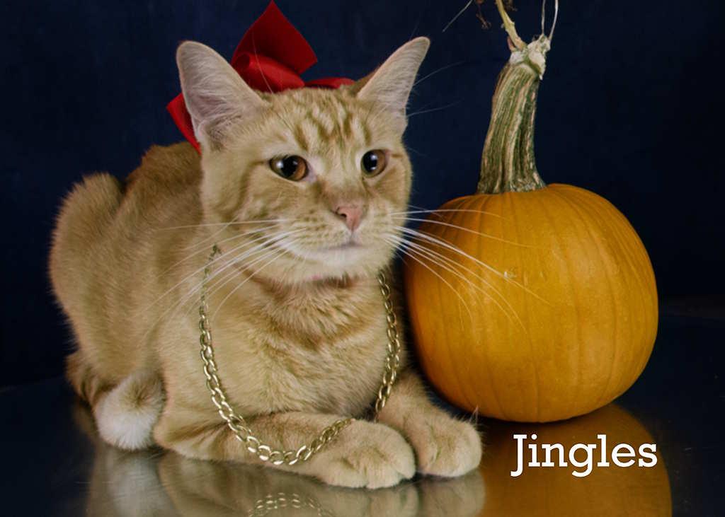 Jingles