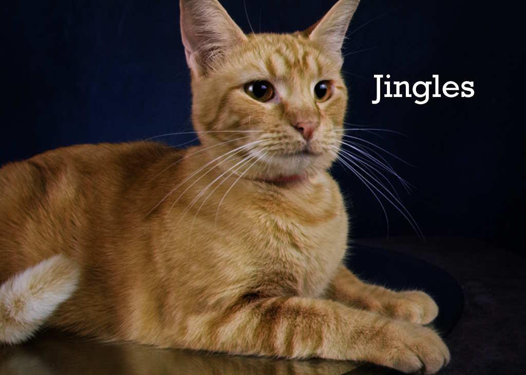 Jingles