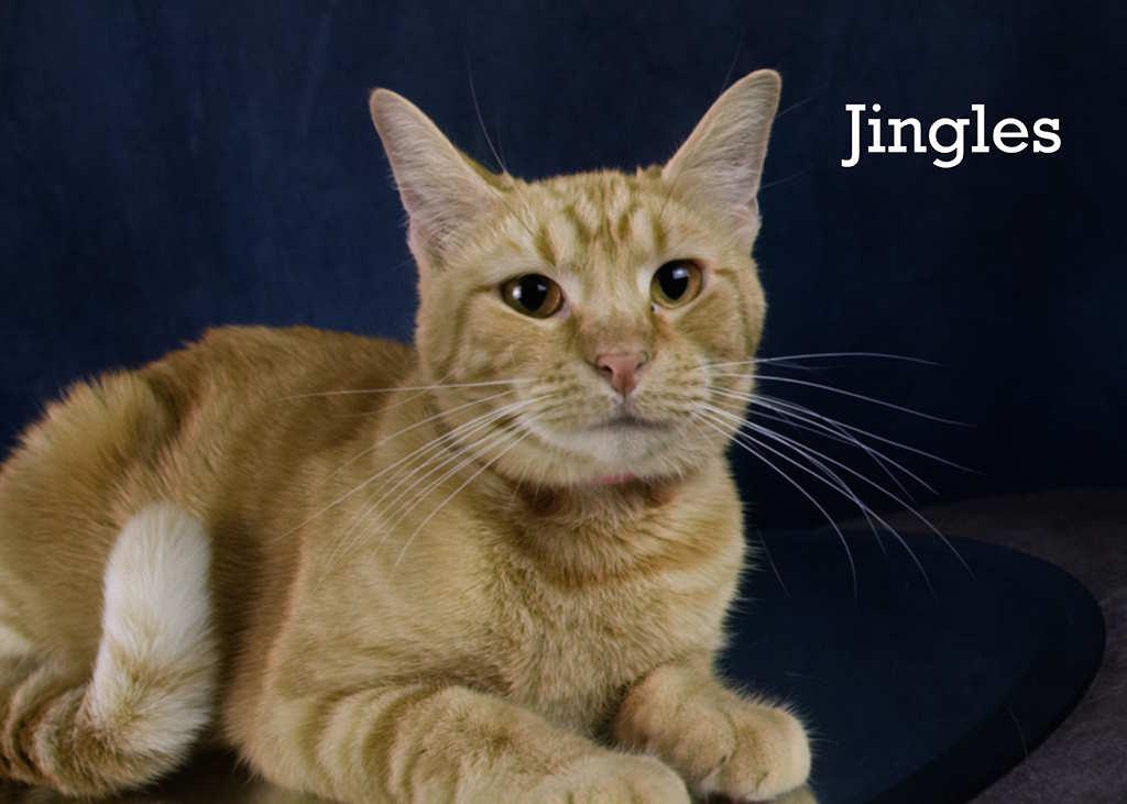 Jingles