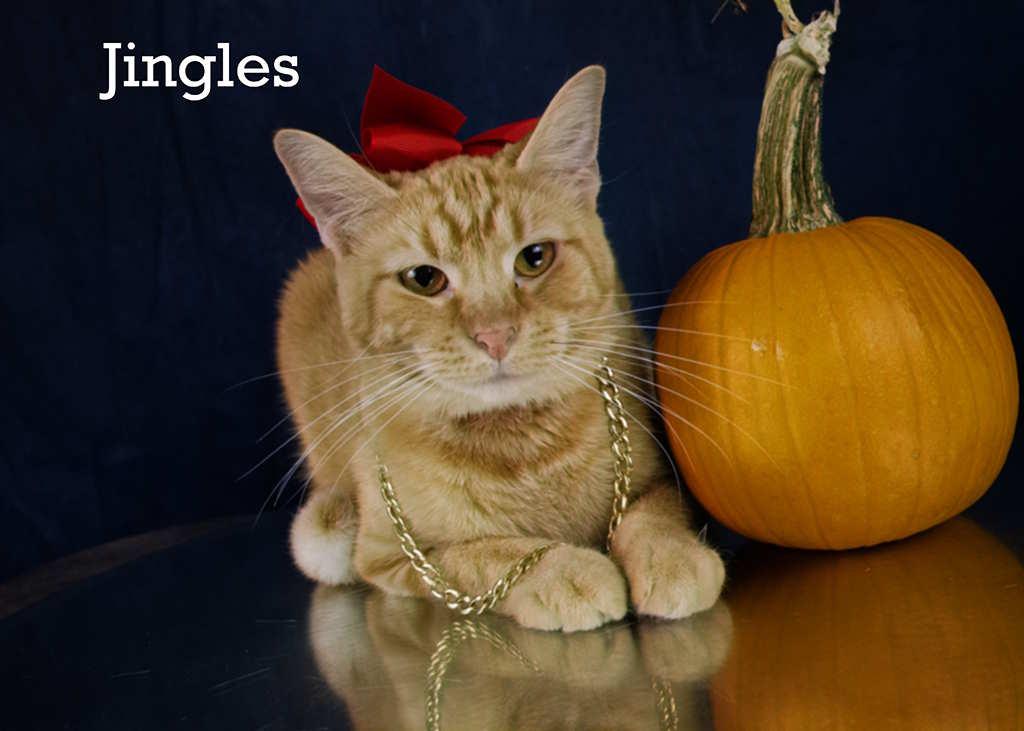 Jingles