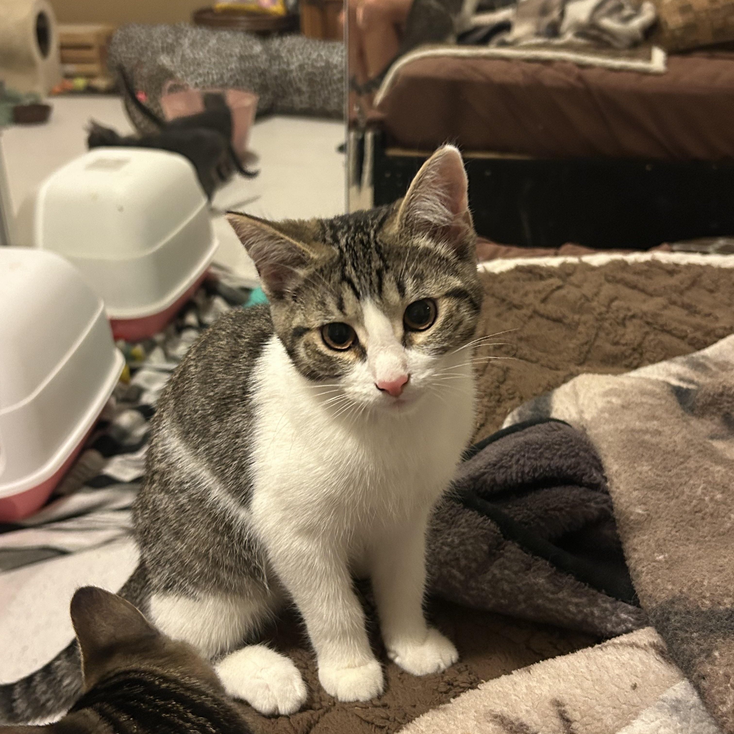 Quinn photo