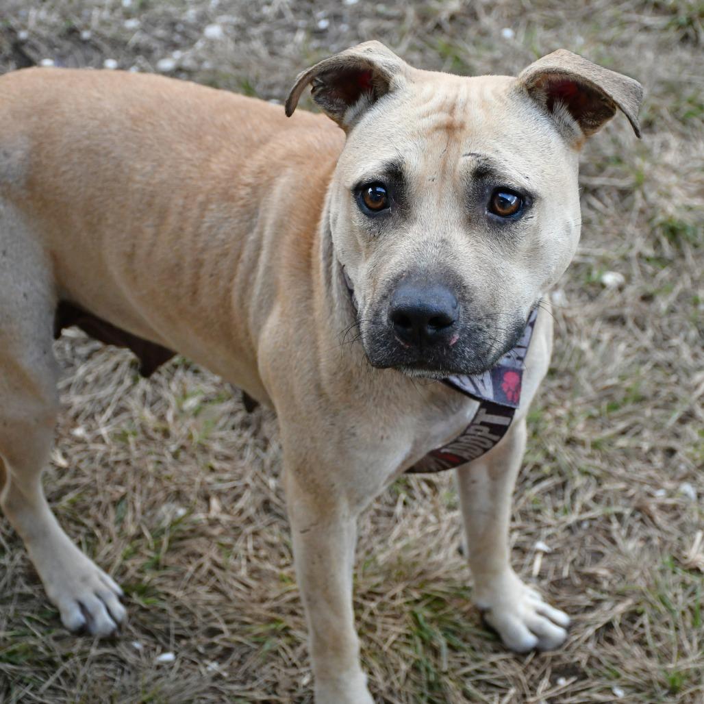 Red Velvet Beret Eau
