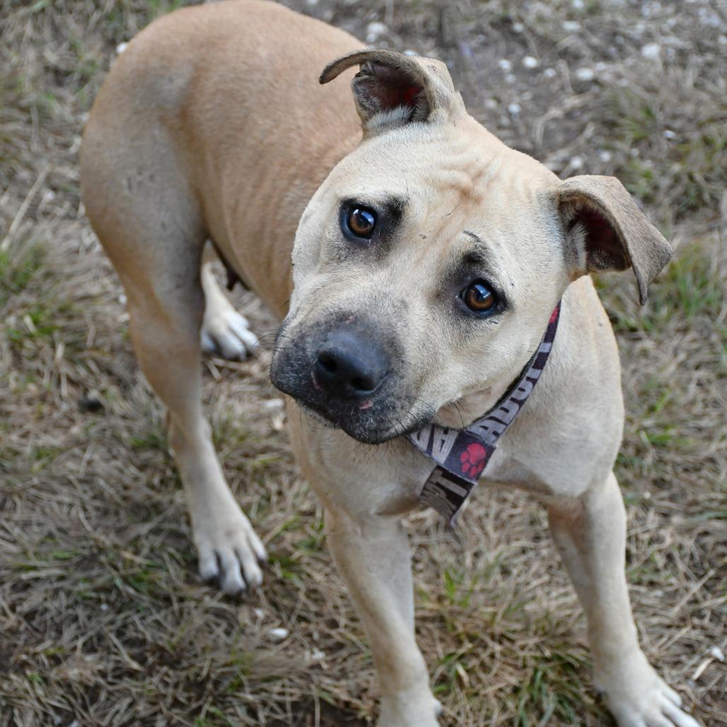 Red Velvet Beret Eau thumbnail 3