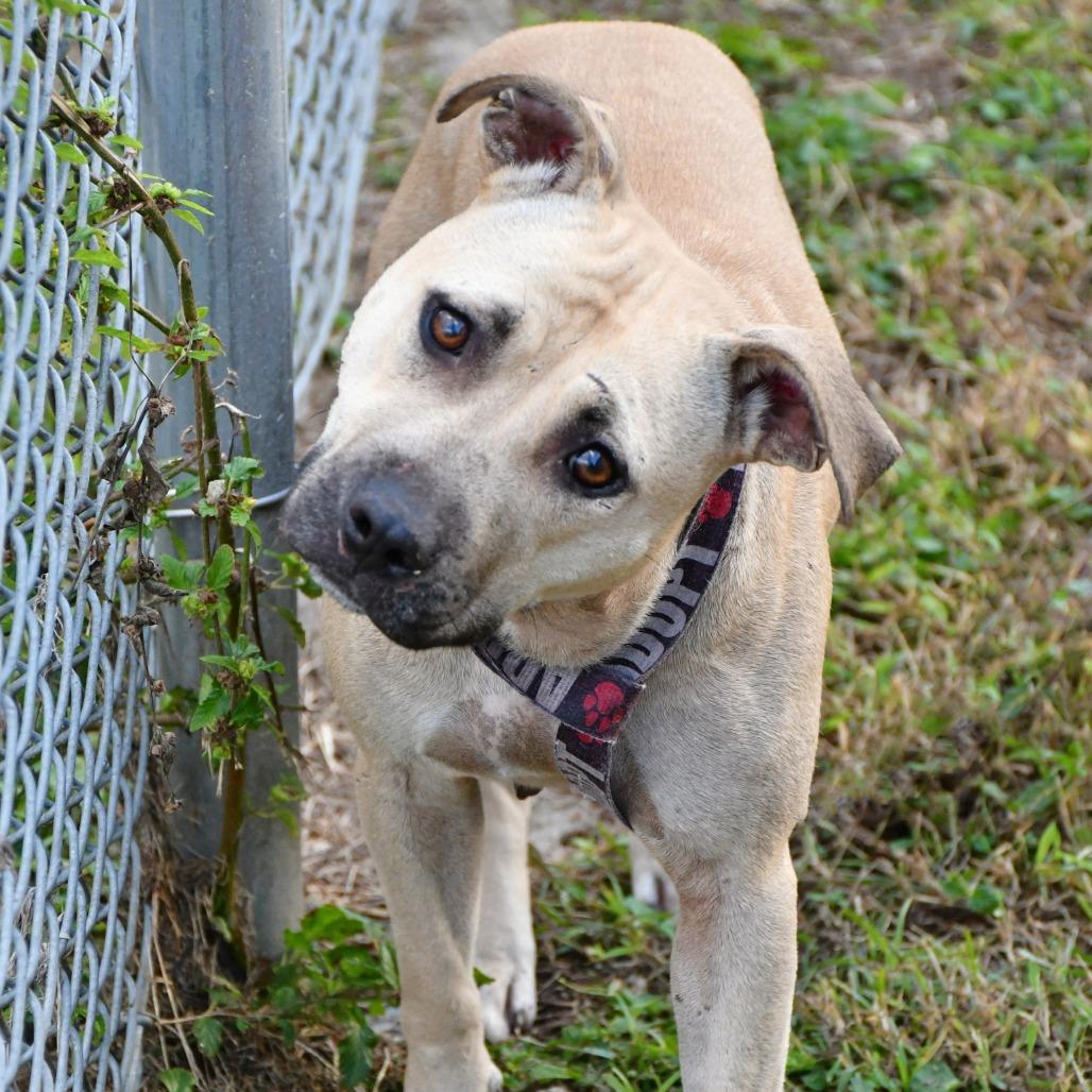 Red Velvet Beret Eau thumbnail 4