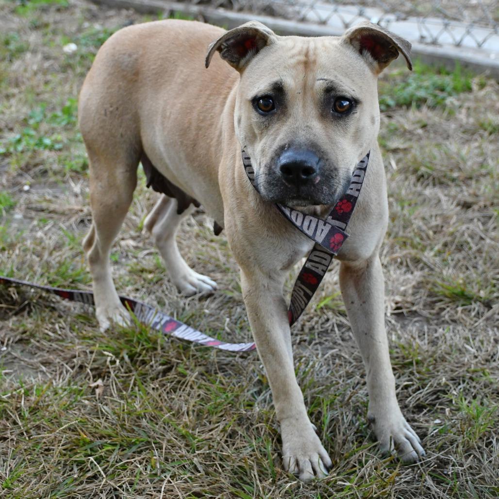 Red Velvet Beret Eau thumbnail 6