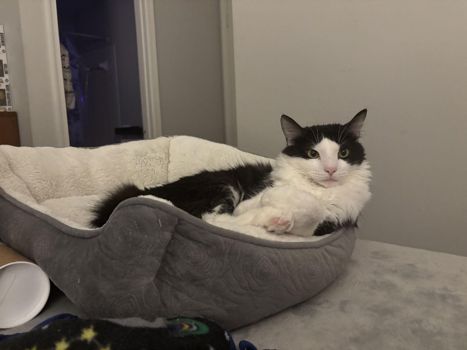 Firefly (& Gideon) bonded