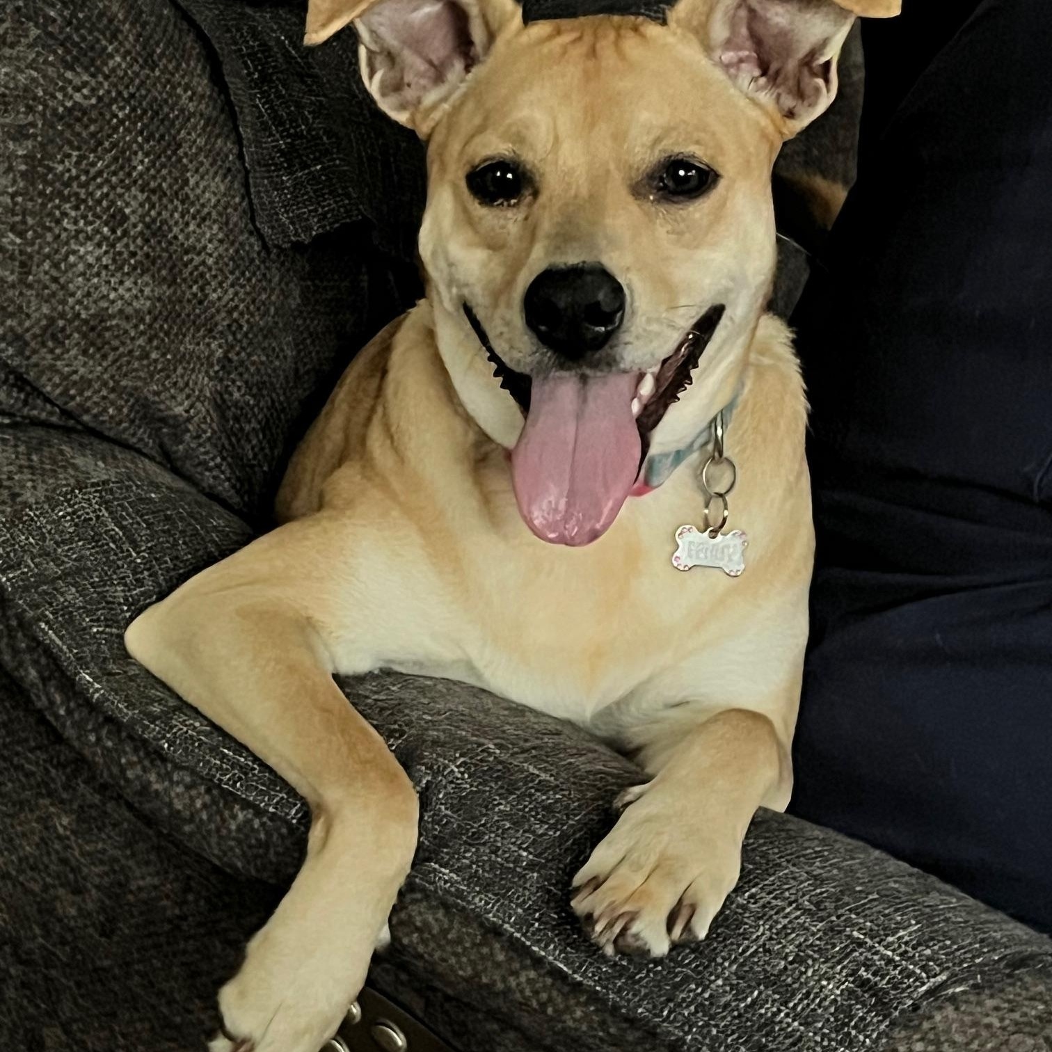 Penny photo 6
