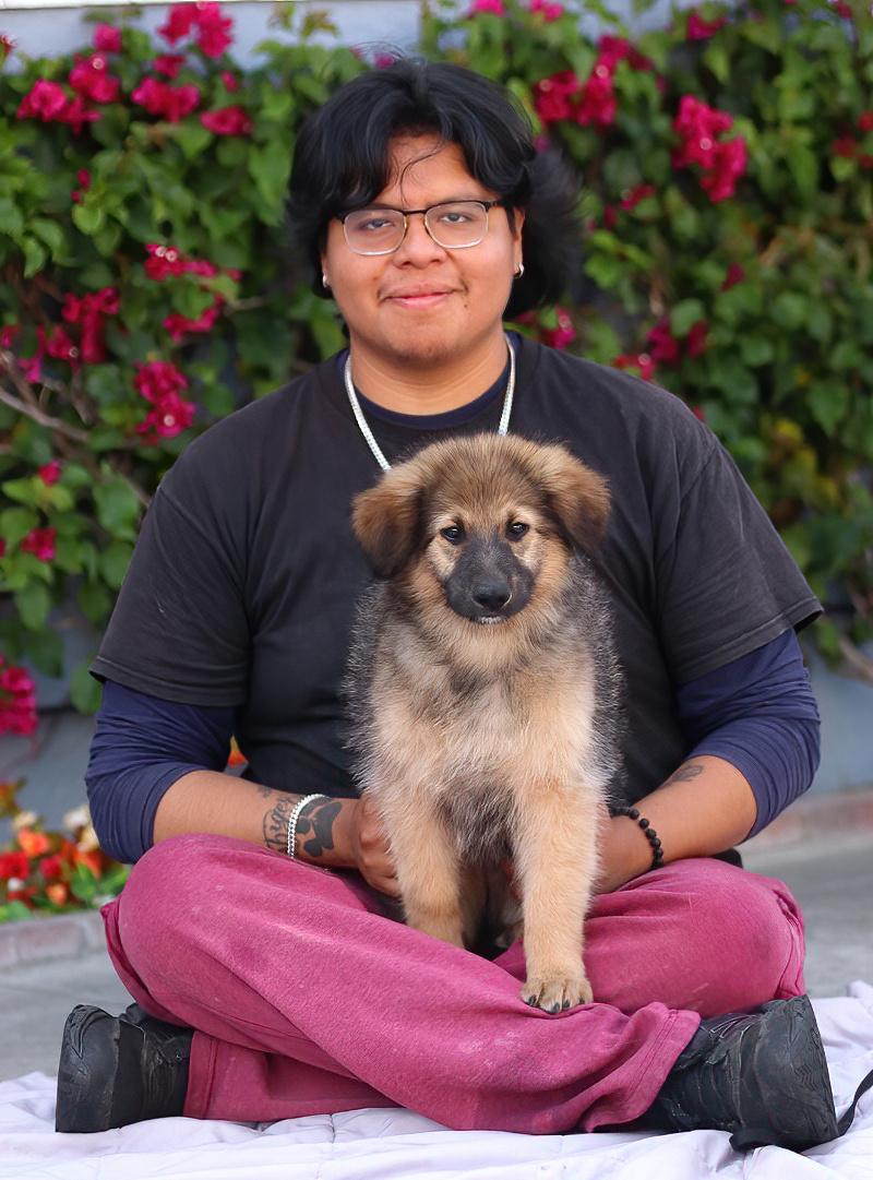 Enlarge Baloo von Bexbach, an adopted mixed breed in Los Angeles, CA image 2/6