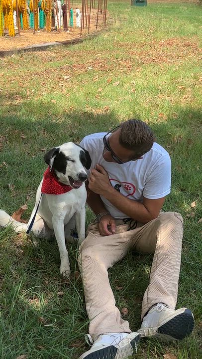 Enlarge Jelly Bean, a Adopted mixed breed in Toledo, OH video 2/6