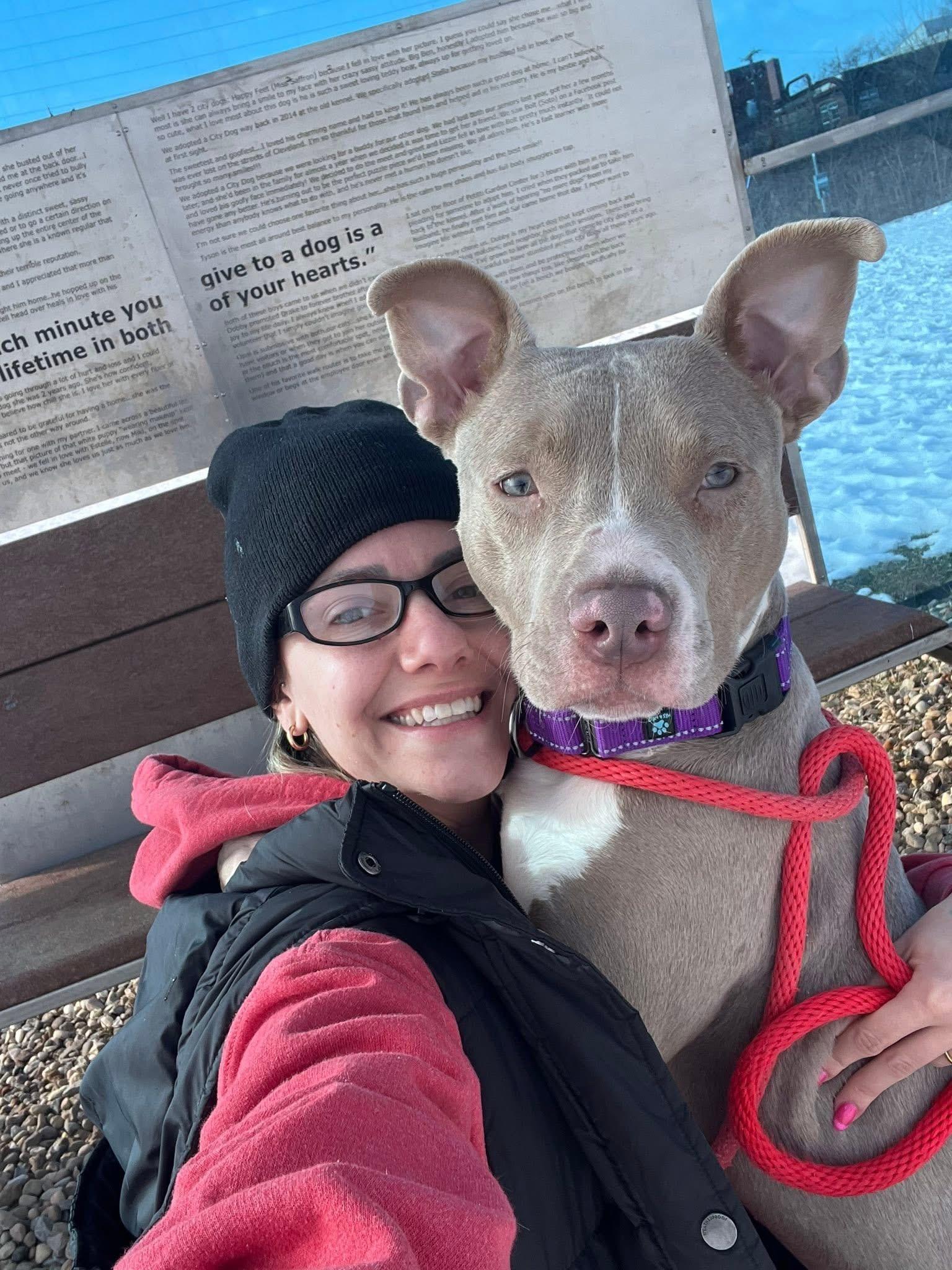 Enlarge Smooches, an adopted mixed breed in Cleveland, OH image 1/6