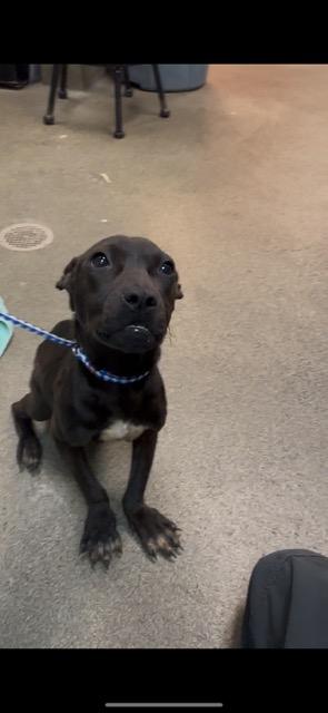 RUBERT — thumbnail 2