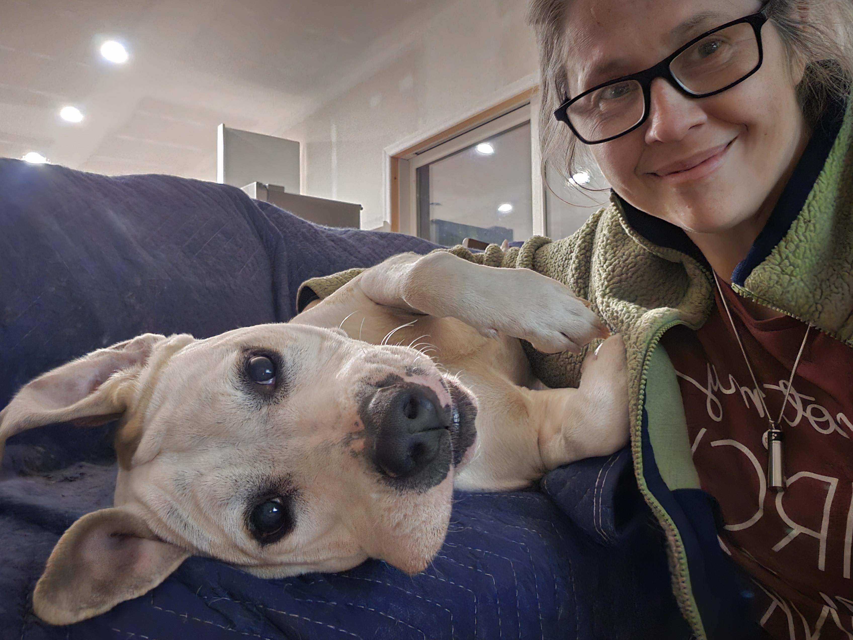 Basil, a Adoptable mixed breed in Sharon, CT image 3/4