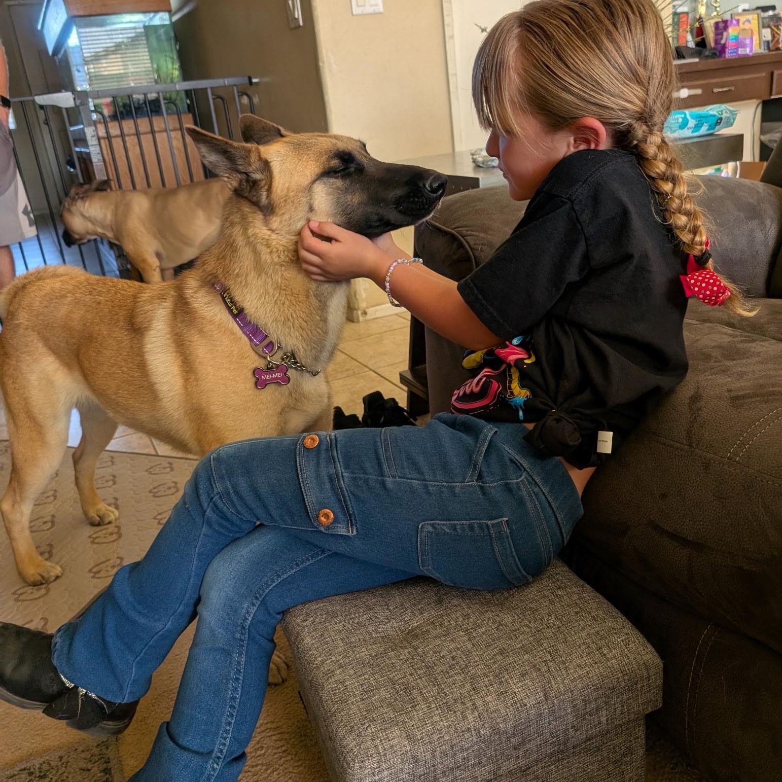 Mei Mei , ADOPTABLE, Young Female German Shepherd Dog.