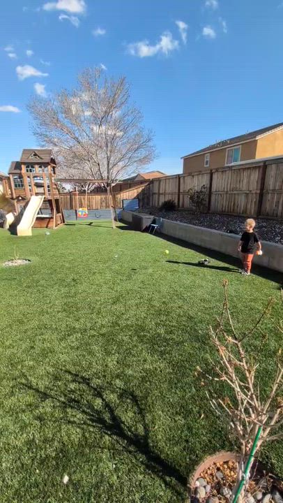 Enlarge Mei Mei , a ADOPTABLE mixed breed in Adelanto, CA video 4/6