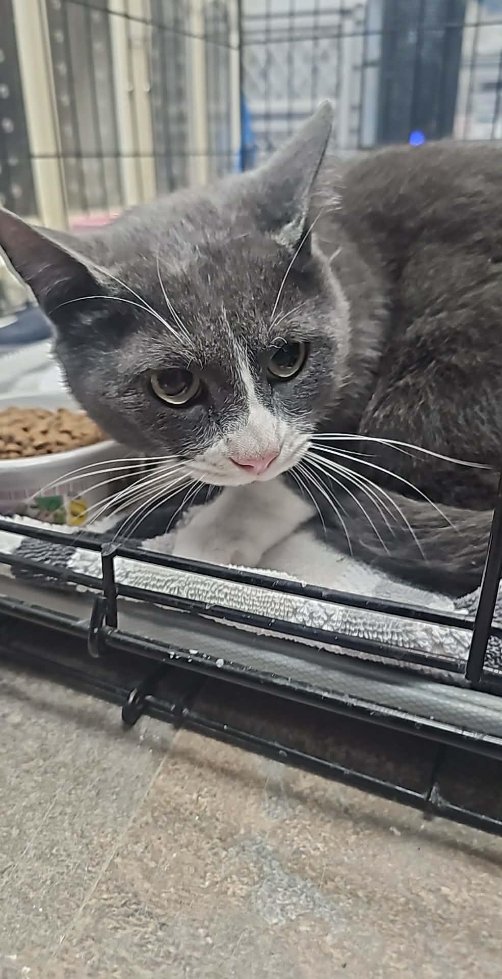 Ledger — thumbnail 2