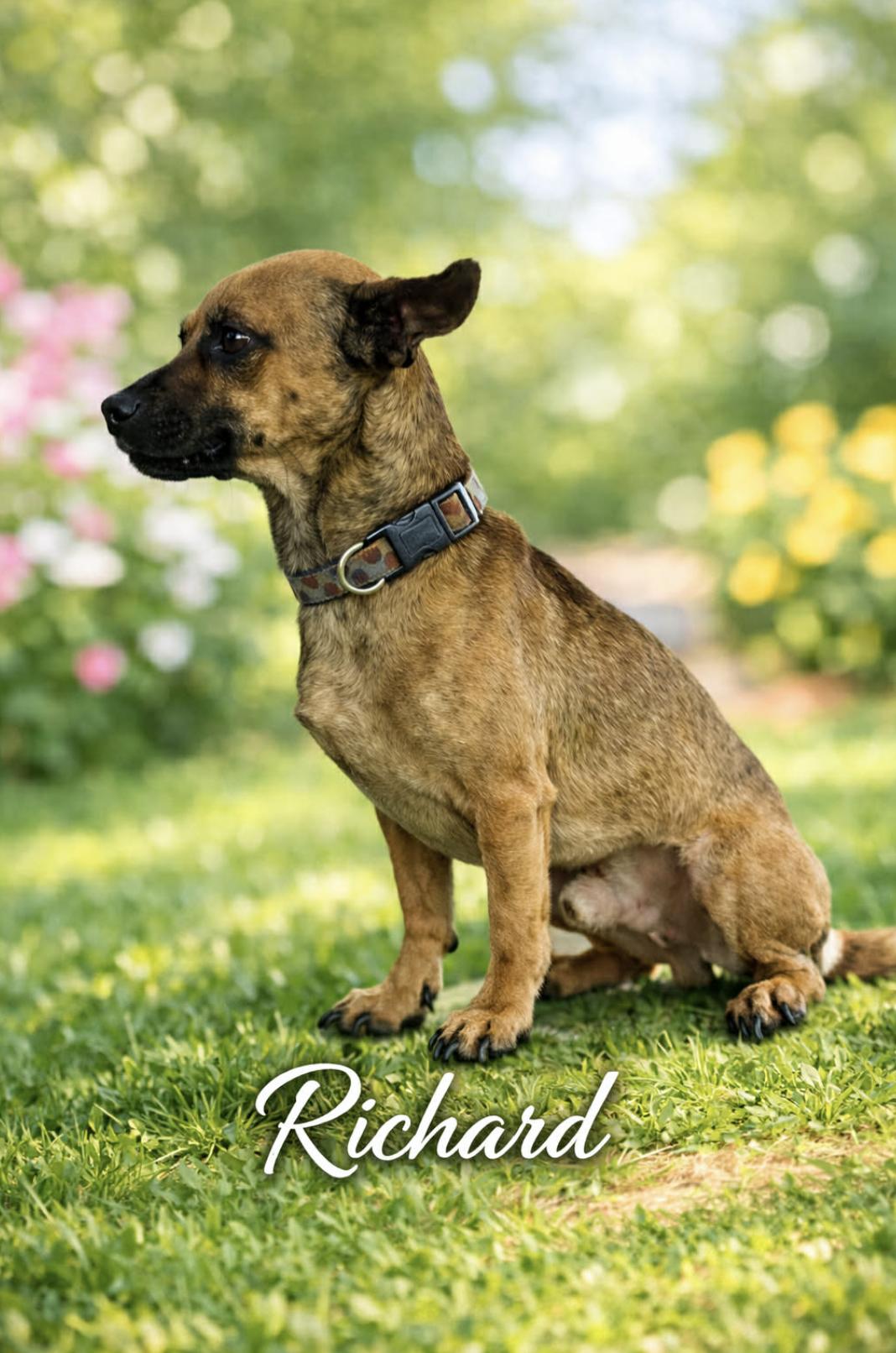 Richard — thumbnail 6