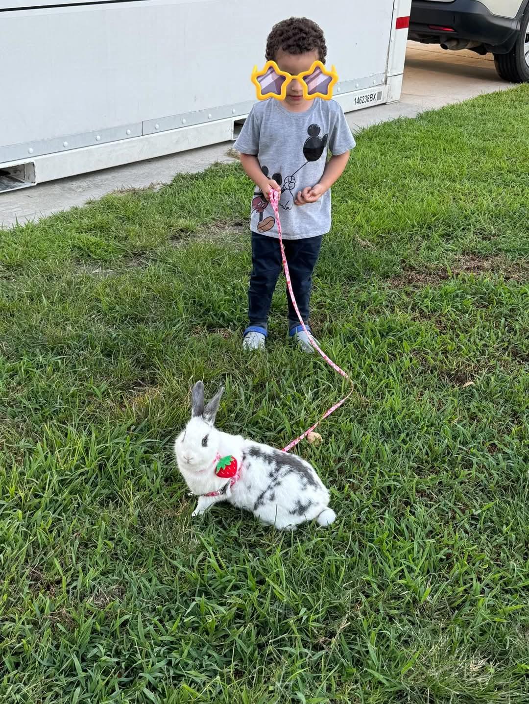 Tinka, a Adoptable mixed breed in Paradis, LA image 6/6