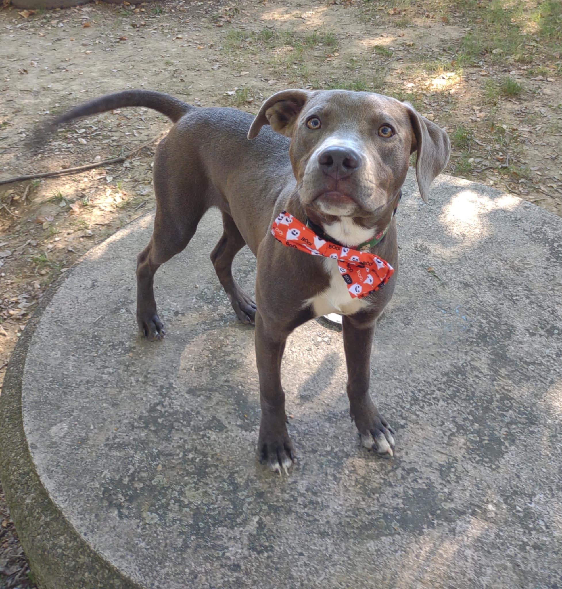 Franklin photo 4