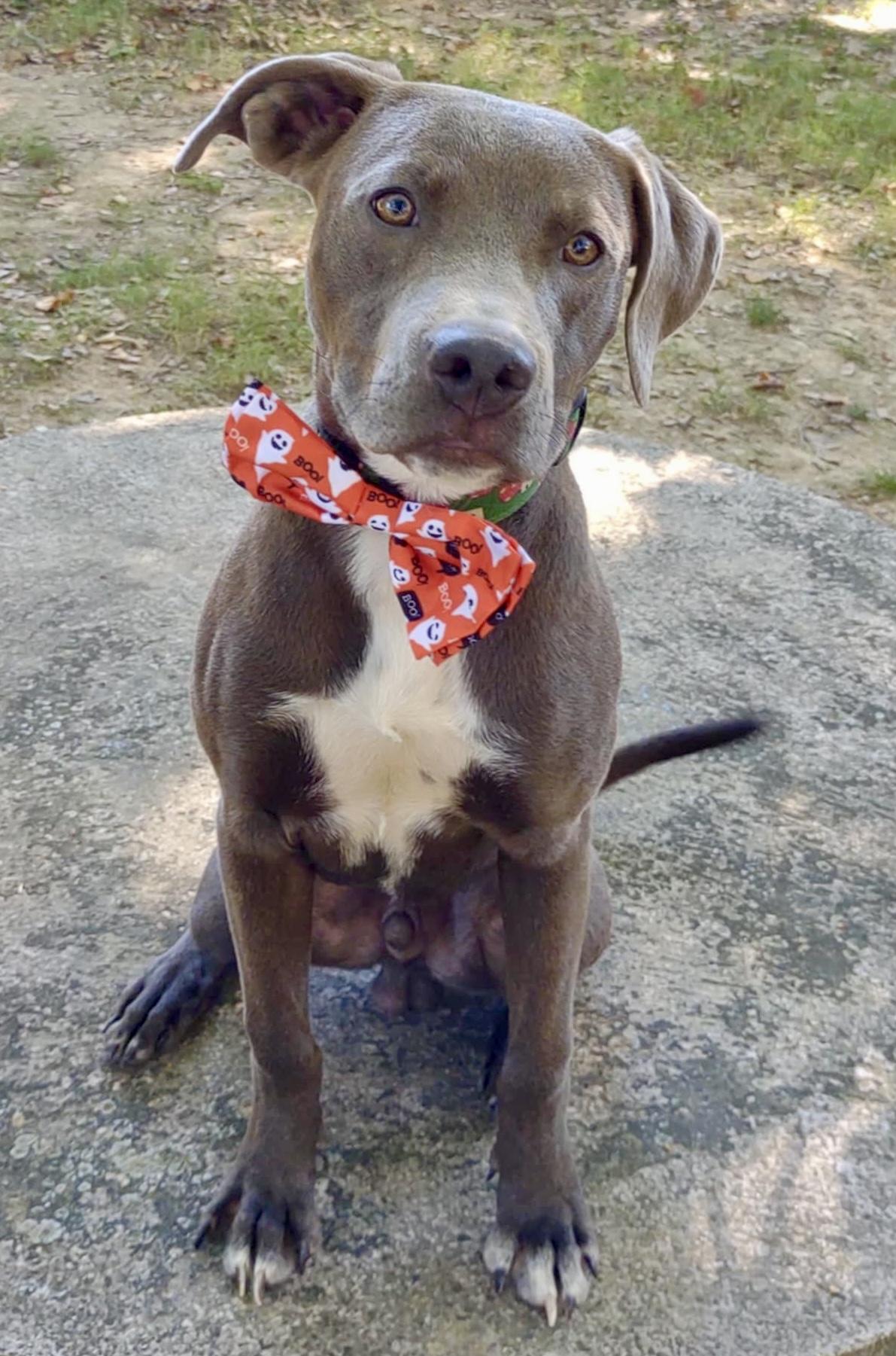 Franklin