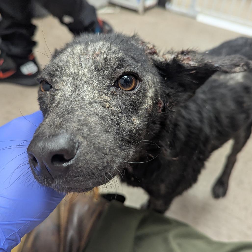 Rocky Road — thumbnail 2