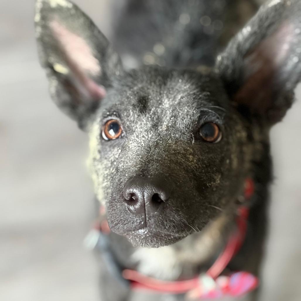 Rocky Road — thumbnail 3