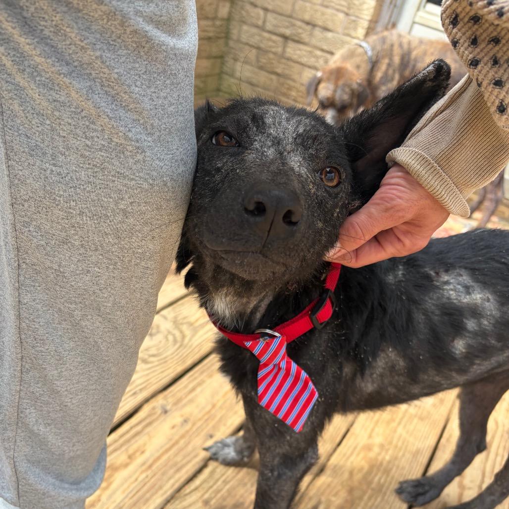 Rocky Road — thumbnail 4