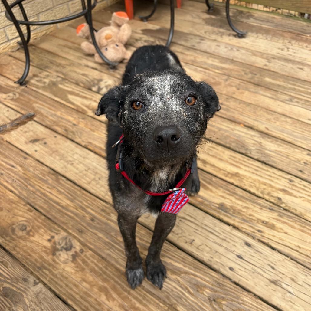 Rocky Road — thumbnail 5